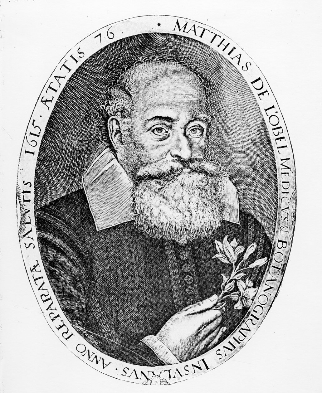 Obelli Matthias by Francis Delaram
