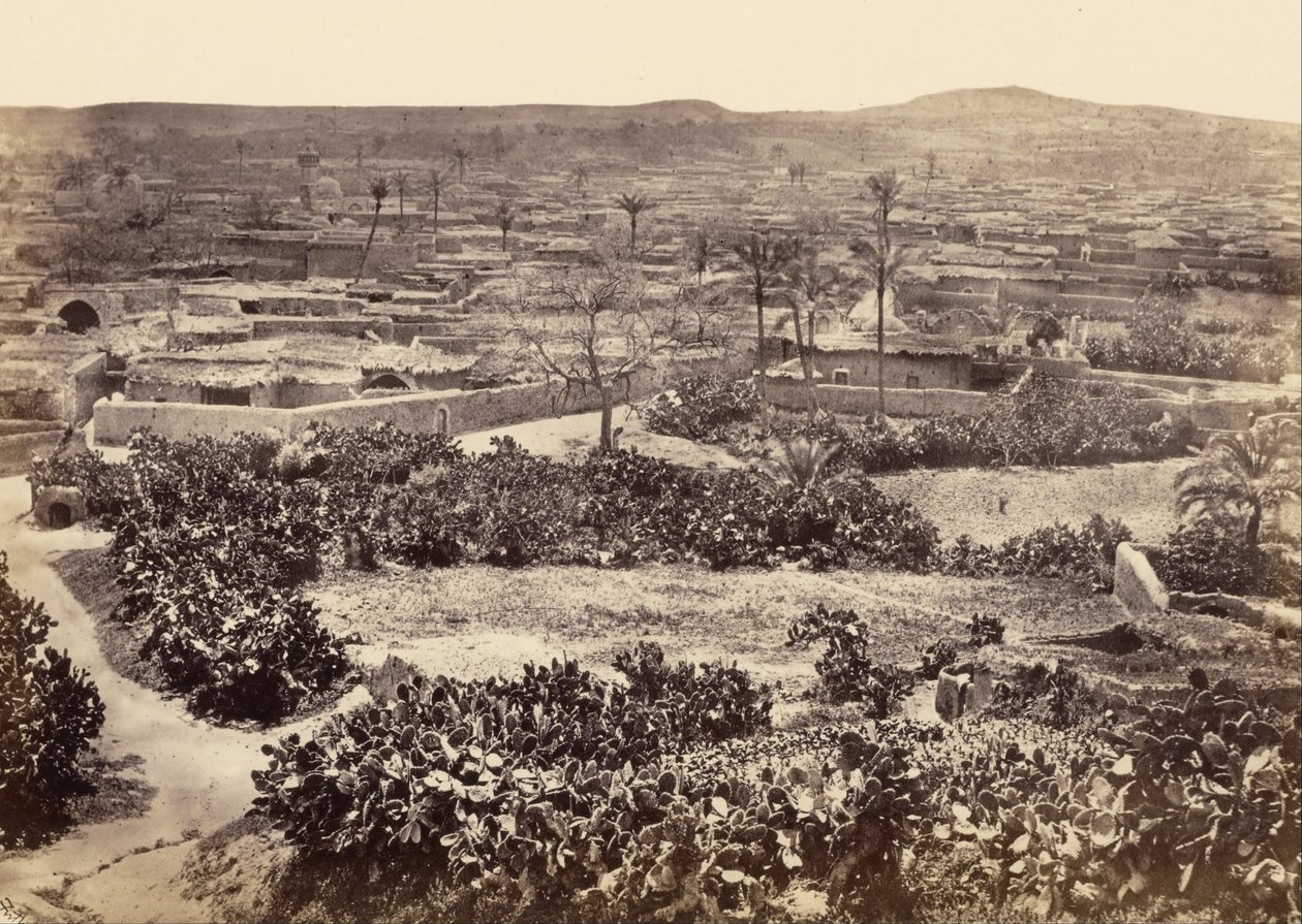Gazze, Yeni Şehir by Francis Frith
