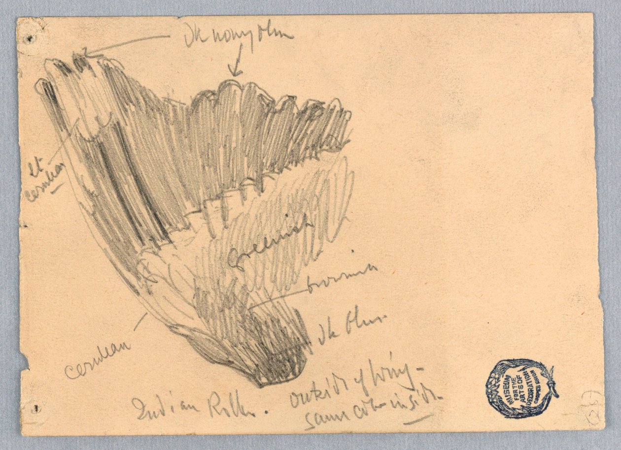 Kanat taslağı by Francis Augustus Lathrop
