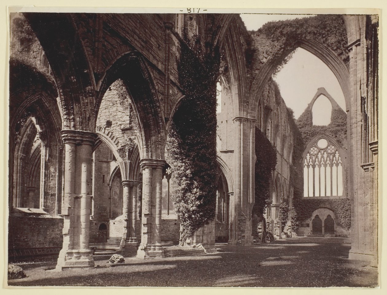 İsimsiz [Tintern Manastırı], 186094. by Francis Bedford