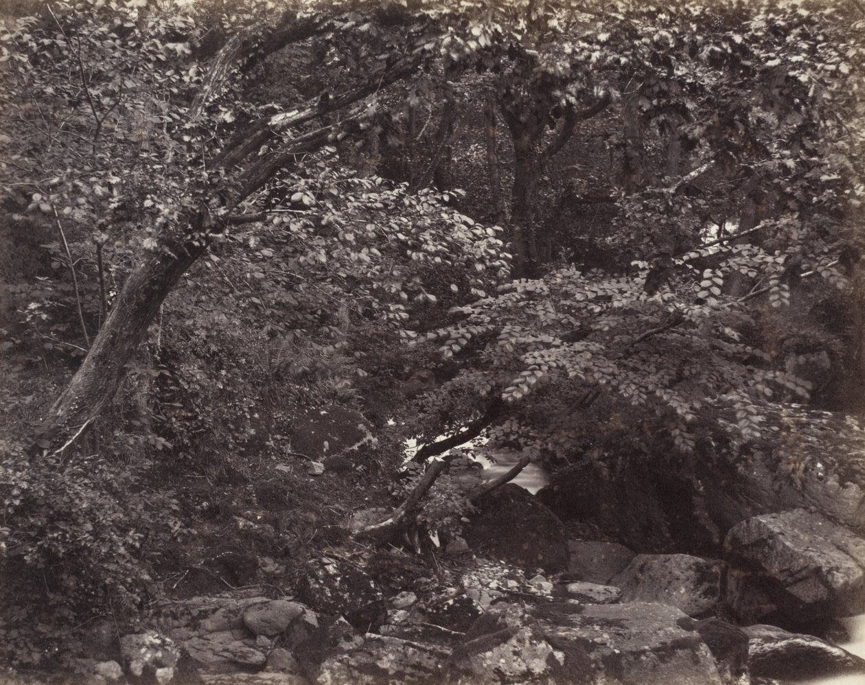 Lynmouth'daki Glen, 1860'lar by Francis Frith
