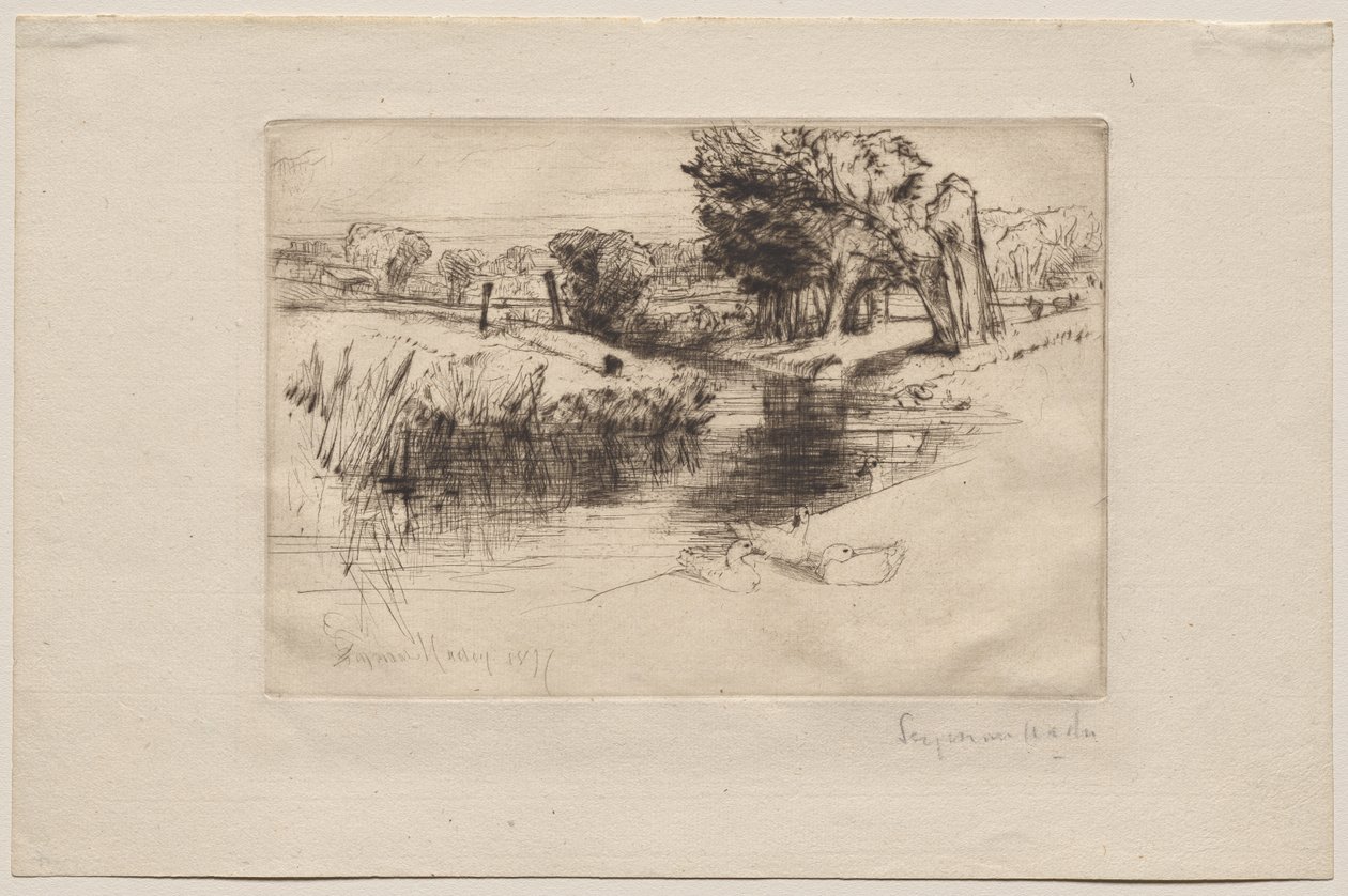 bir durgun su by Francis Seymour Haden