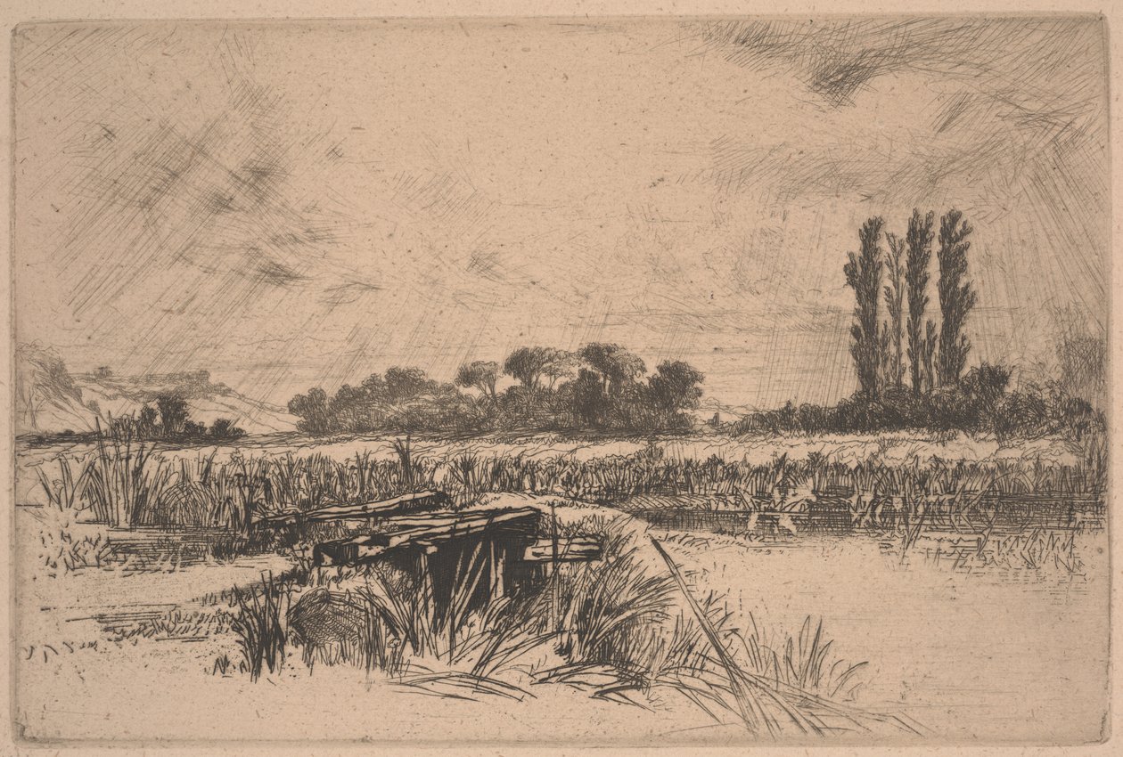 Bir Su Çayırı (aşındırma ve kuru nokta) by Francis Seymour Haden