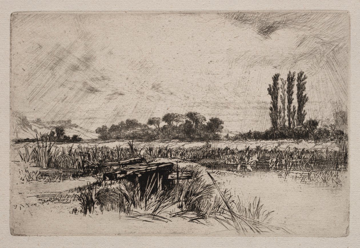 Bir Su Çayırı, 1859. by Francis Seymour Haden