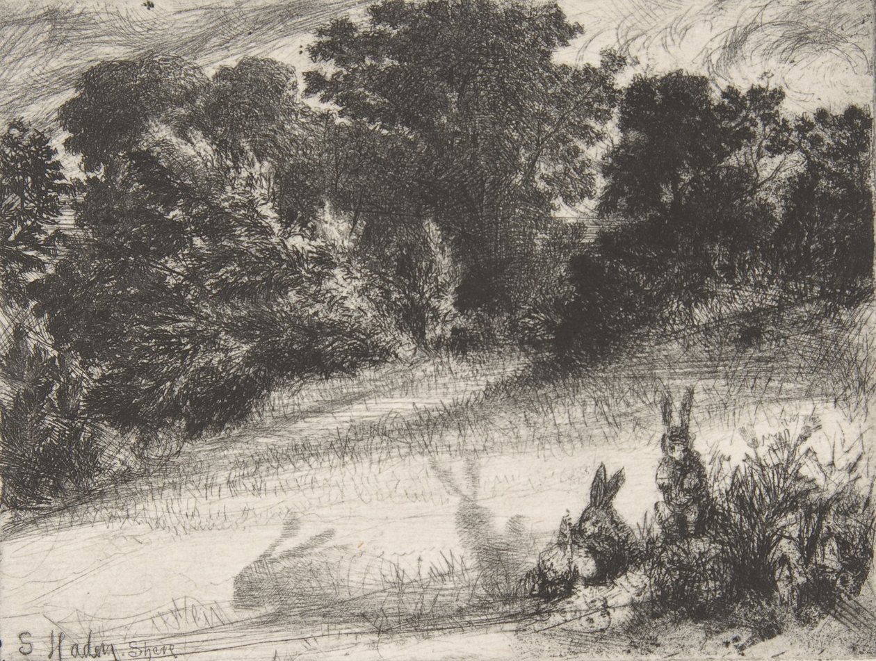 Combe Bottom, 1860., 1860. by Francis Seymour Haden