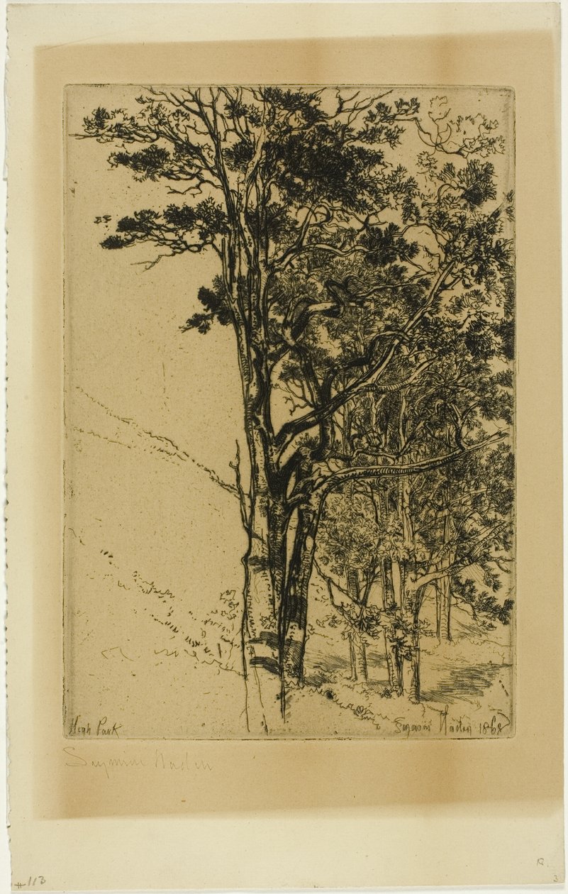 Köknar (Bir Çalışma) by Francis Seymour Haden