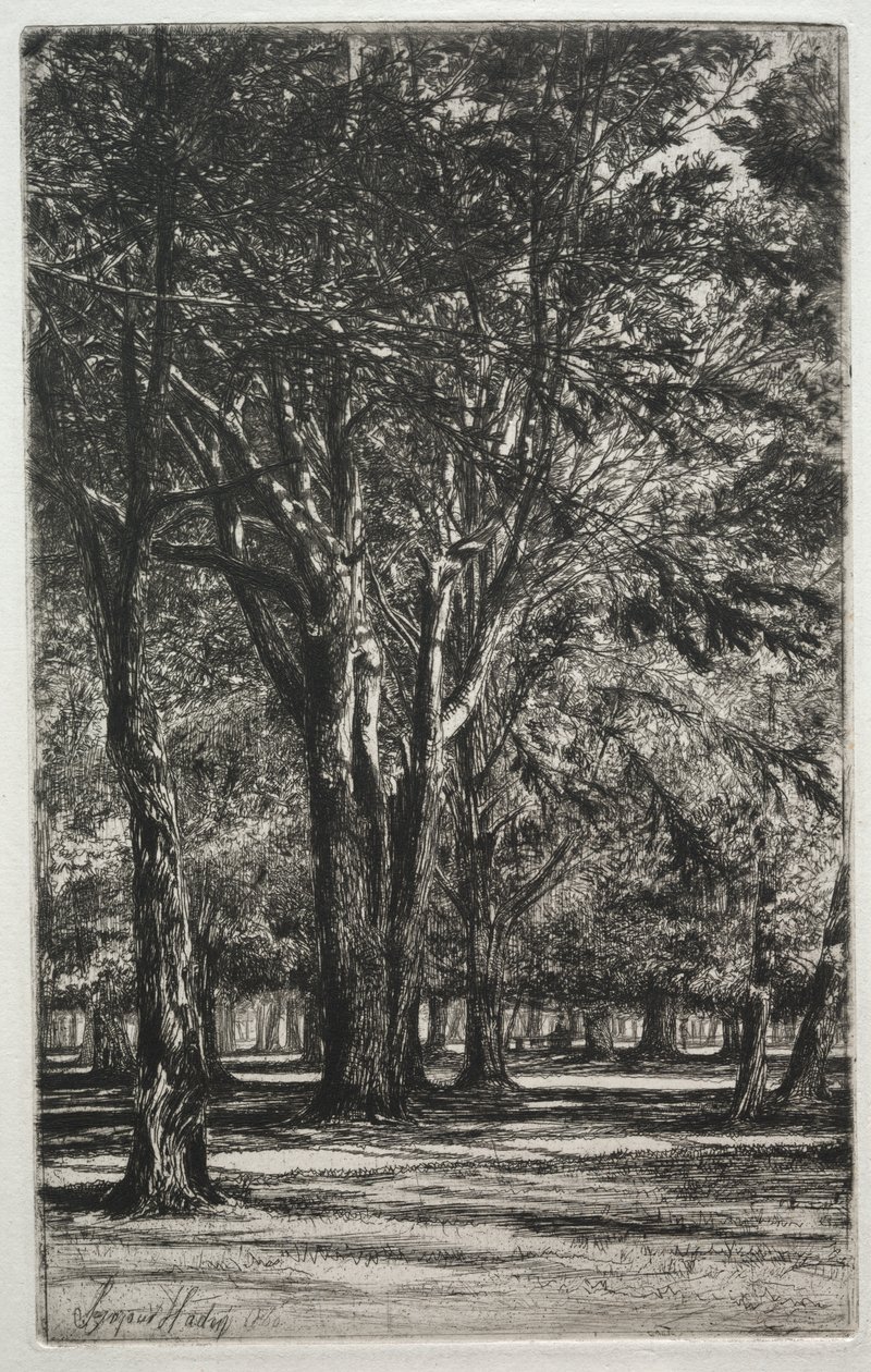 Kensington Bahçeleri (Büyük Plaka) by Francis Seymour Haden