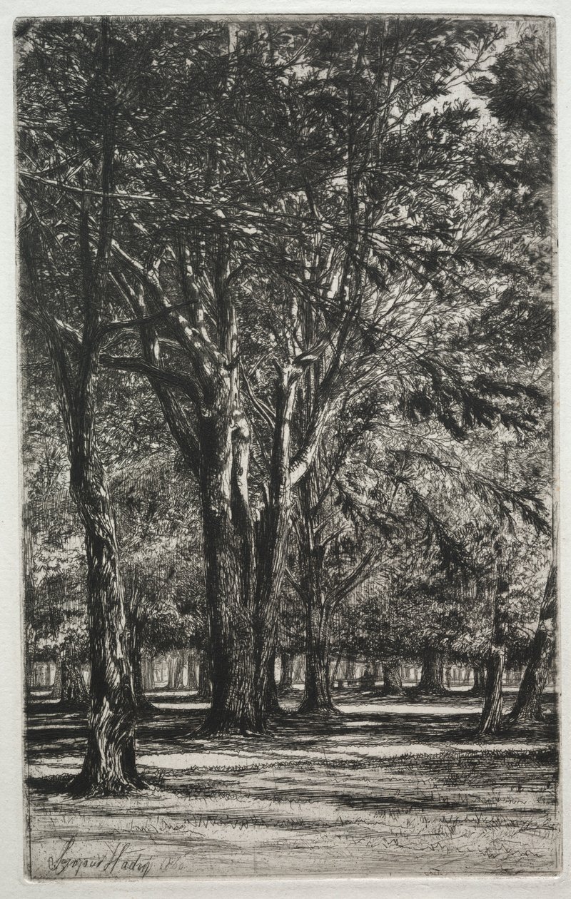 Kensington Bahçeleri Büyük Plaka, 1860. by Francis Seymour Haden