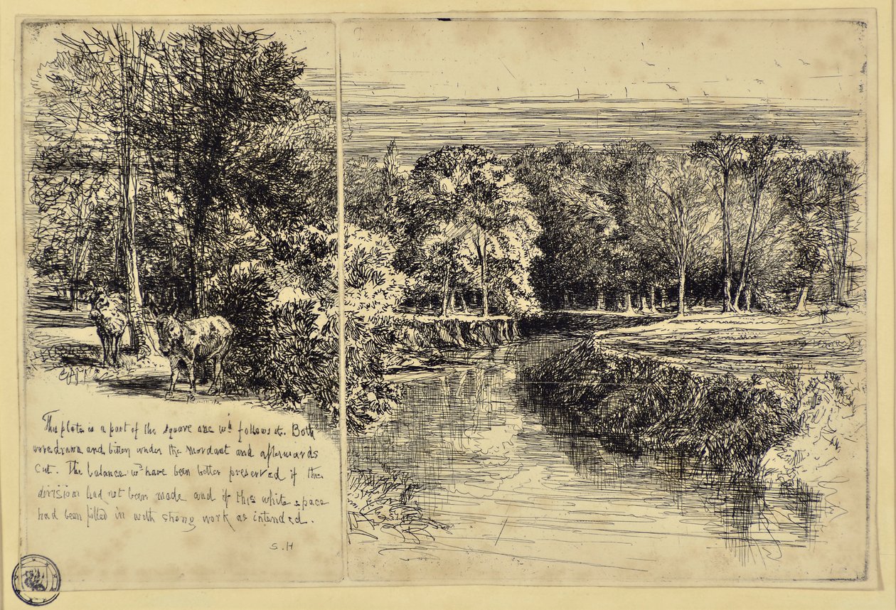 İki Eşek ve Dundrum Nehri by Francis Seymour Haden