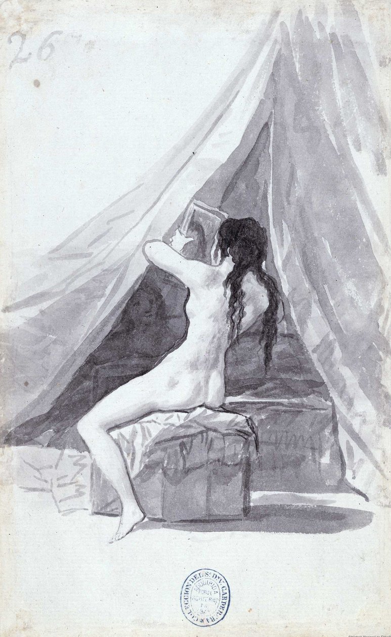 ayna ile çıplak kadın by Francisco de Goya