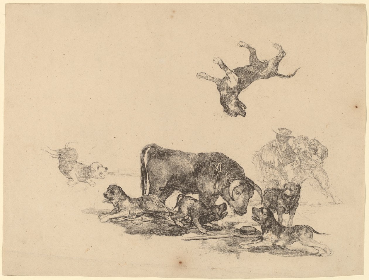Köpeklerin Saldırdığı Boğa by Francisco de Goya