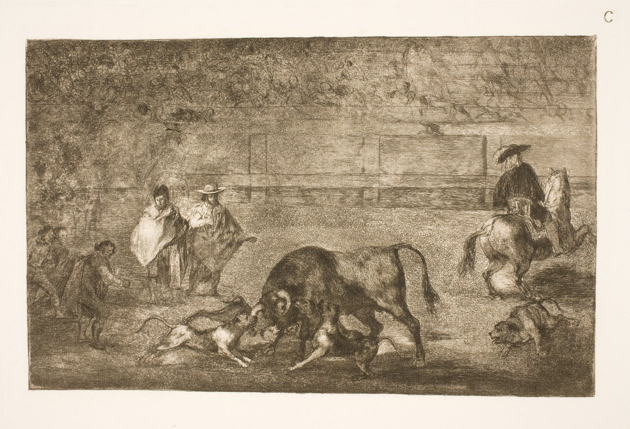 Köpekler boğanın üzerinde tımar edilir by Francisco de Goya