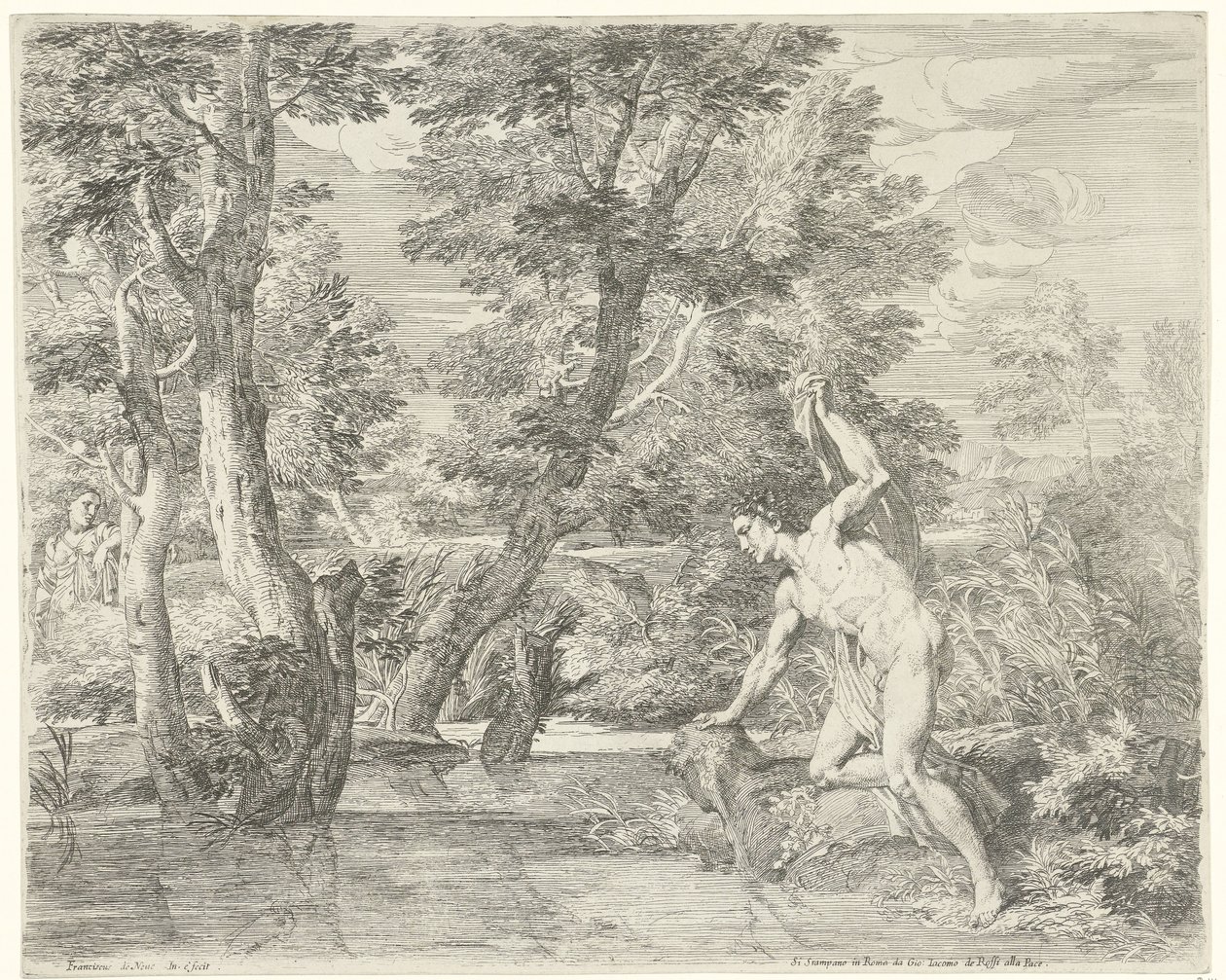 Nergis by Franciscus de Neve