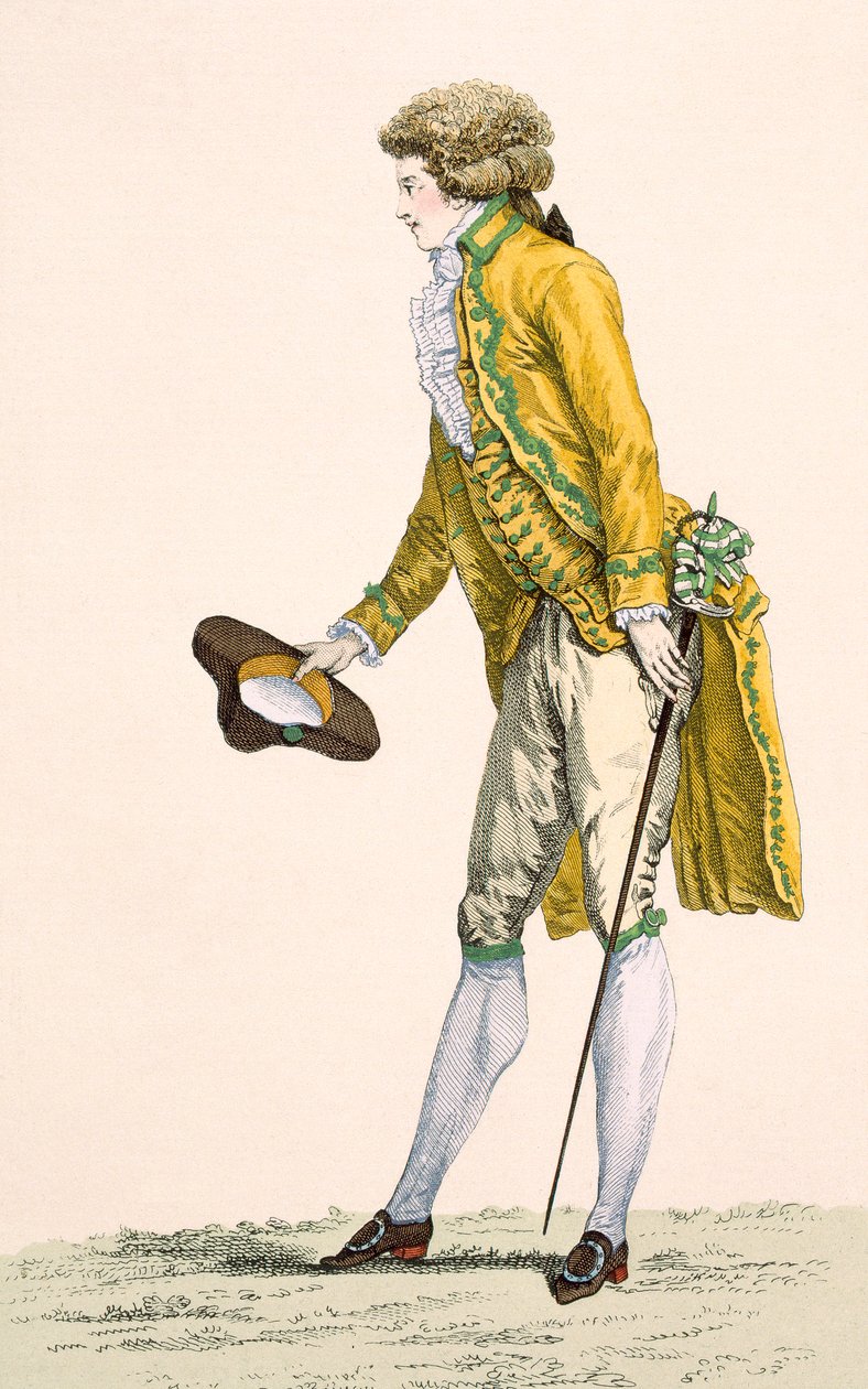 Le Beau tarafından oyulmuş, işlemeli bir ceket ve yelek giyen genç bir adam, 'Galeries des Modes et Costumes Francais'den 253 numaralı plaka, c.1778-87 99:giyim; geleneksel kıyafet by Francois Louis Joseph Watteau