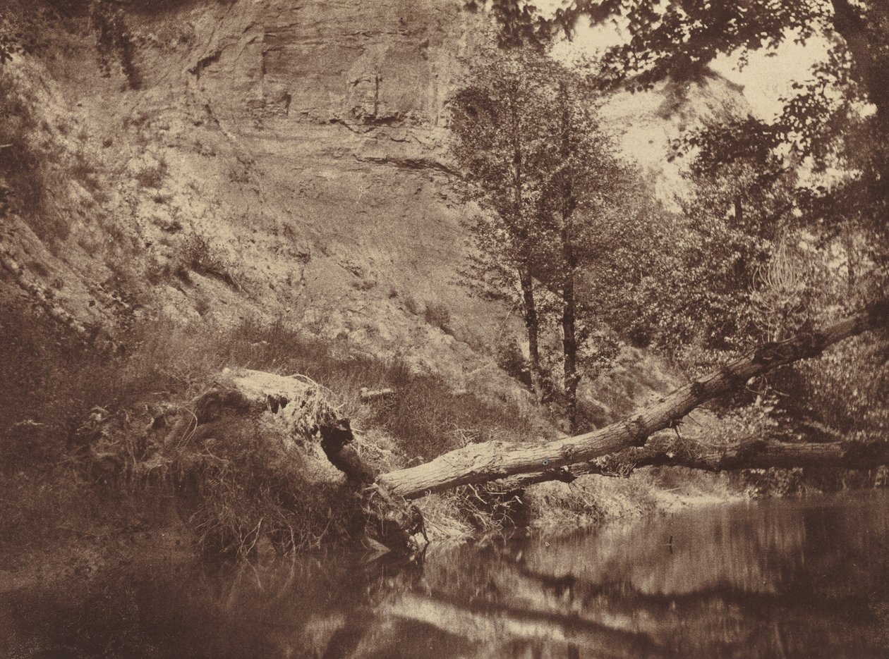 Nehir kenarı, c. 1855. by Frank Chauvassaigne