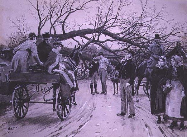 Düşmüş Ağaç by Frank Dadd