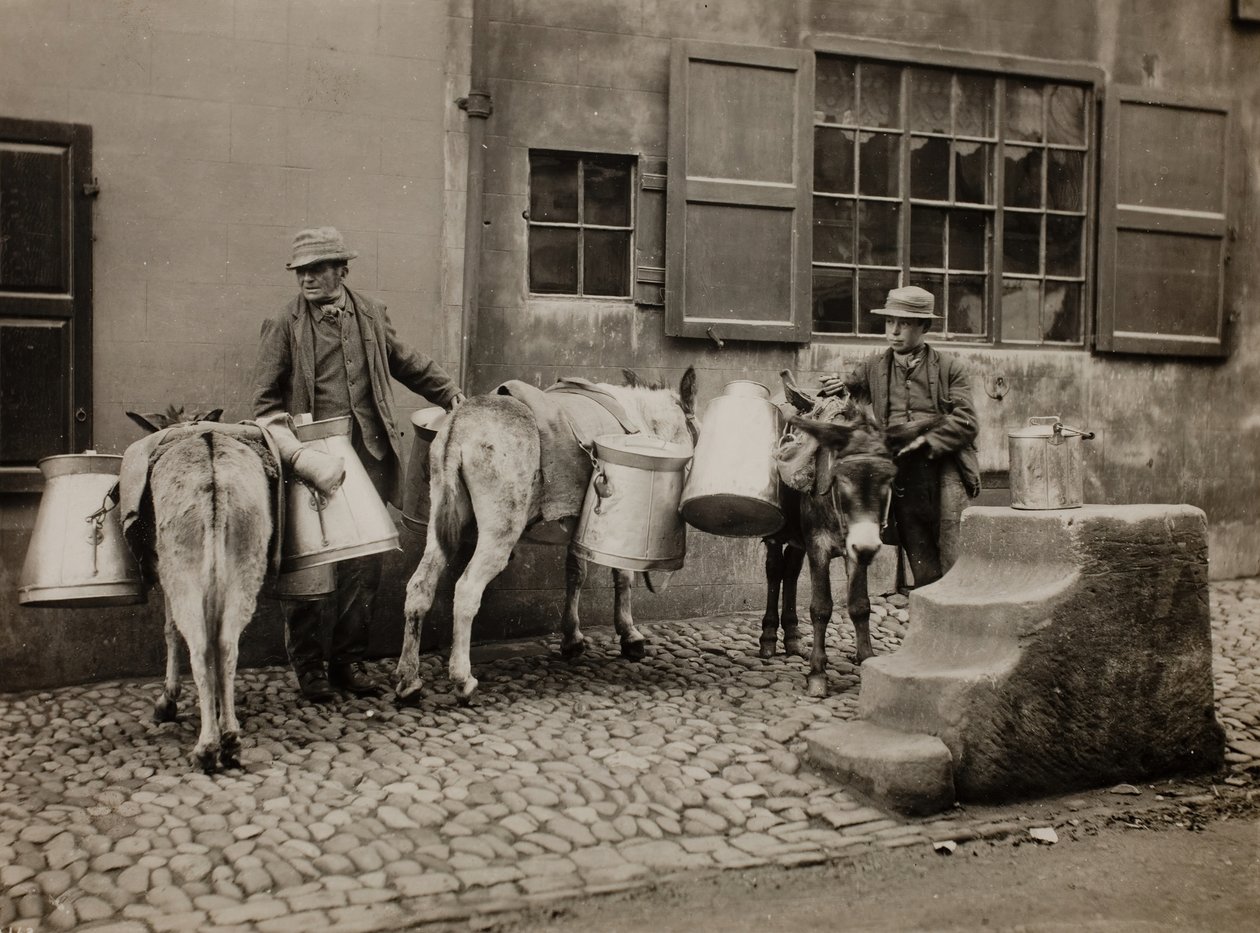 Süt Eşekleri, c. 1890. by Frank Meadow Sutcliffe