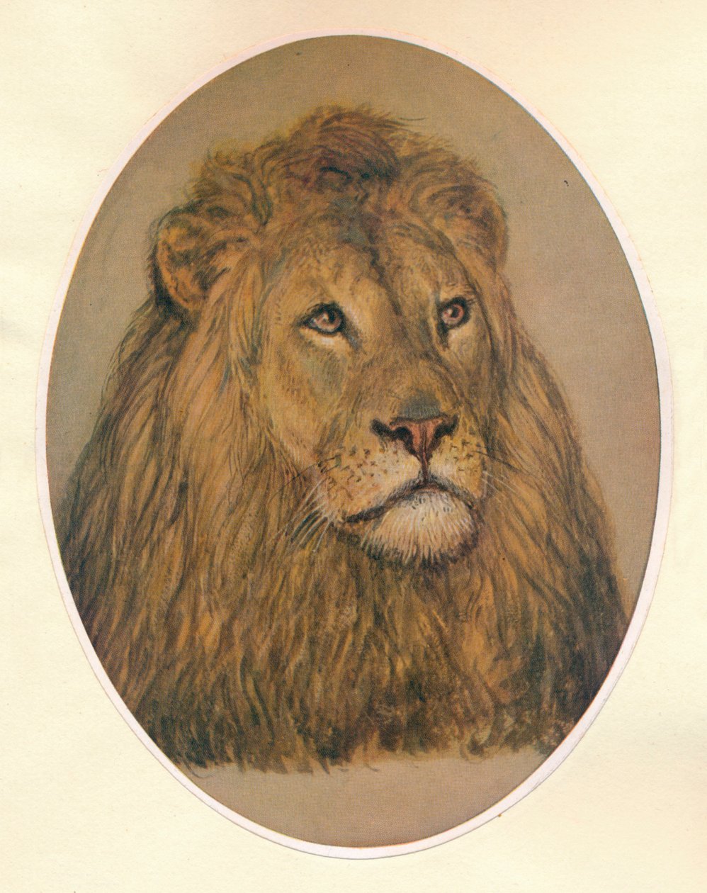 Aslan Kafası, c1896 by Frank Paton