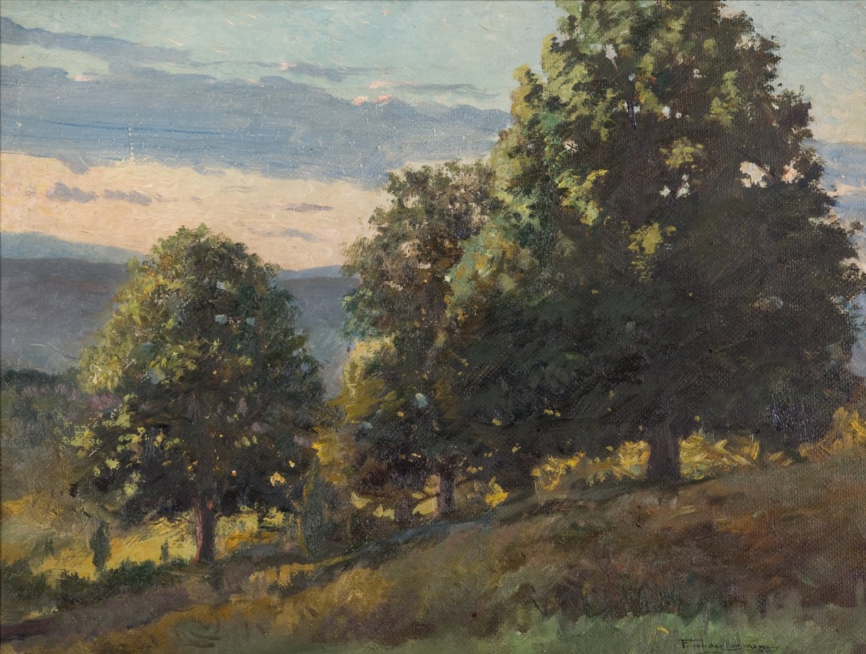 Manzara by Frank Von der Lancken