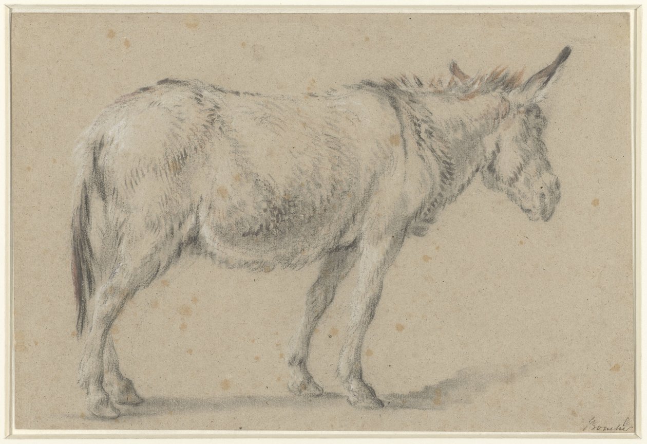 Ayakta duran eşek, sağa dönük by François Boucher (possibly)