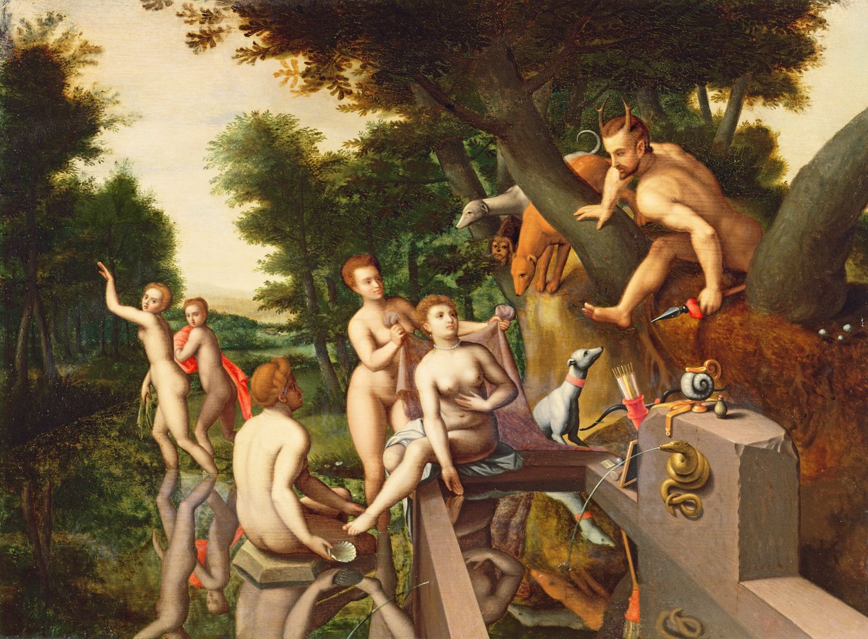 Bilinmeyen resim by François Clouet