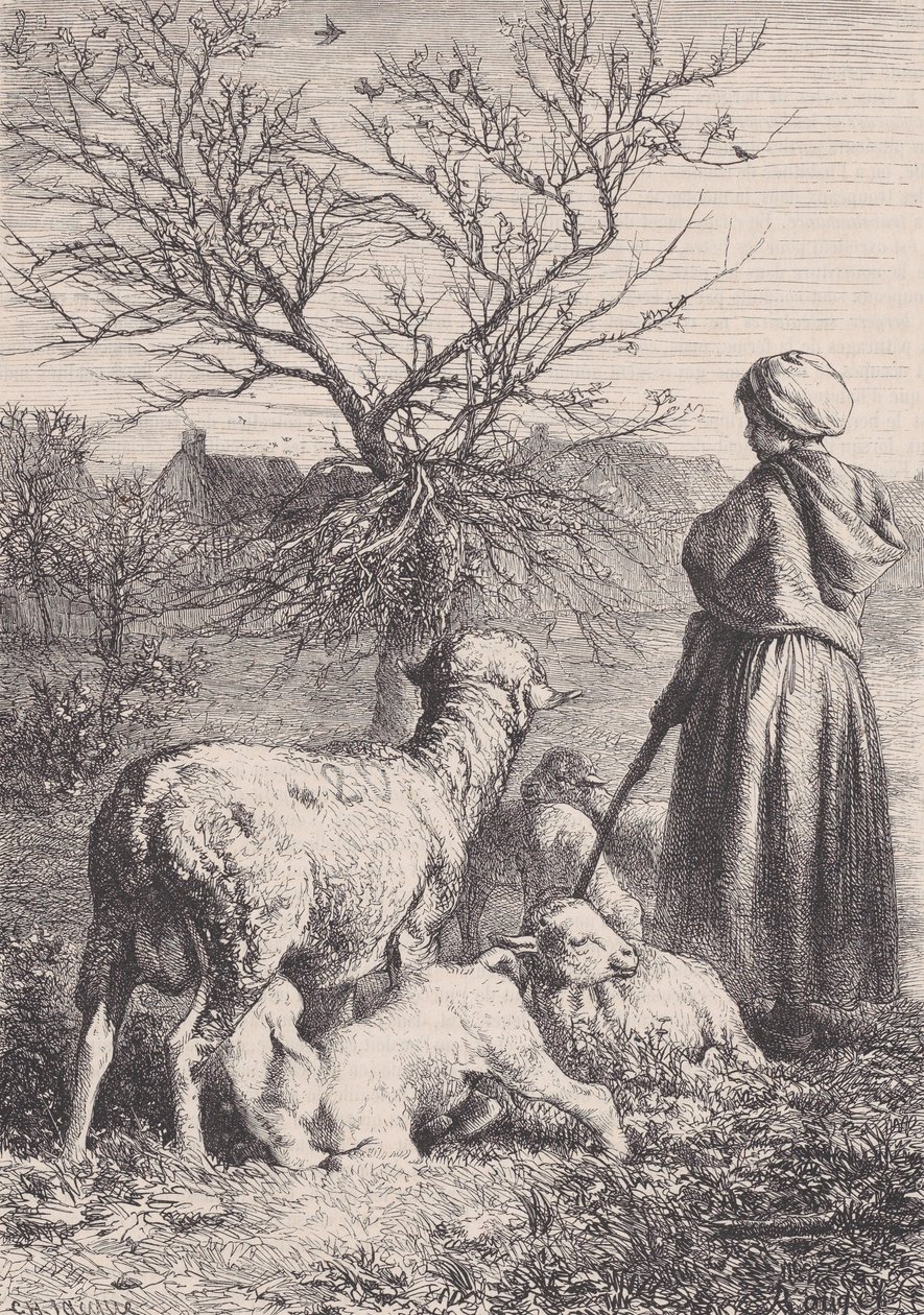 Bir Çoban, ca. 1852. by François Rouget