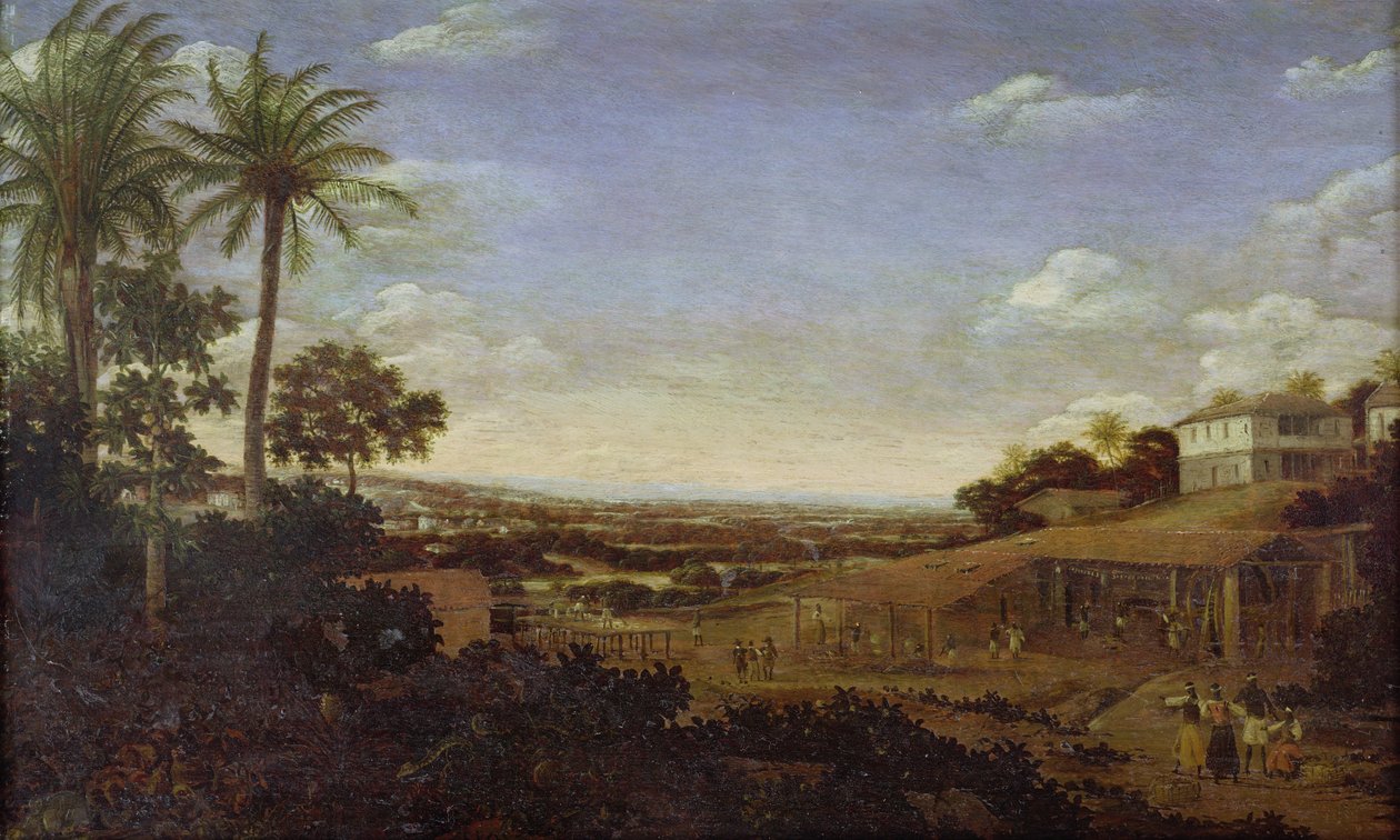 Bilinmeyen resim by Frans Post