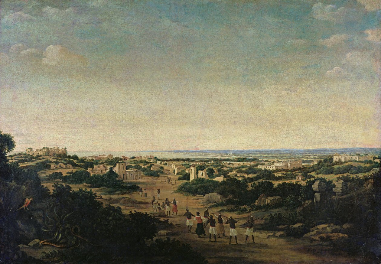 Bilinmeyen resim by Frans Post