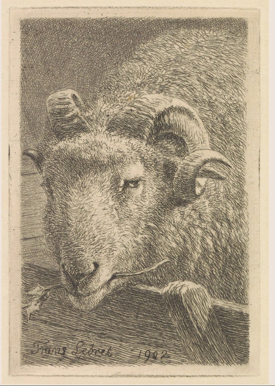 Bir koç başı by Frans Lebret