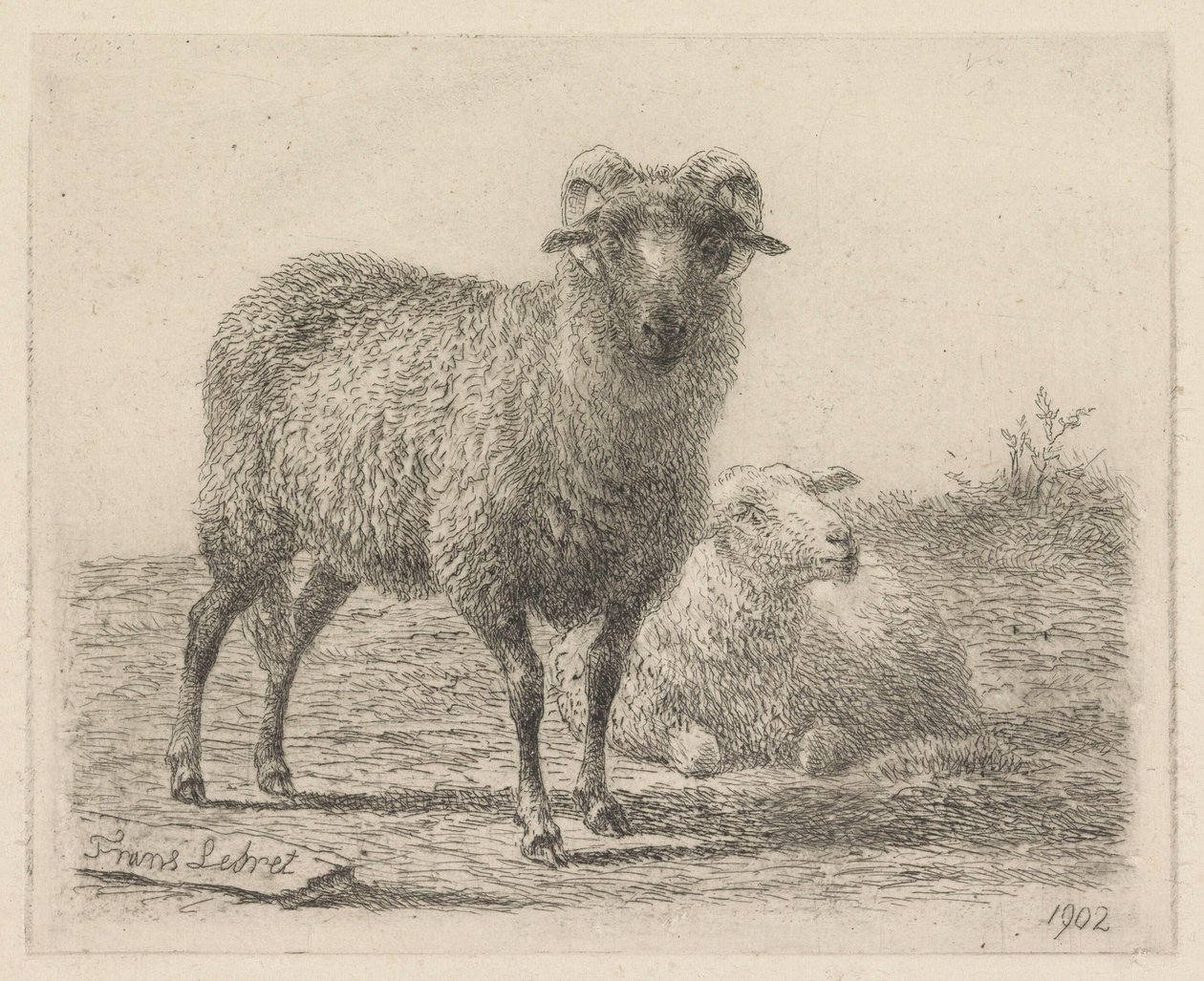 koç ve koyun by Frans Lebret