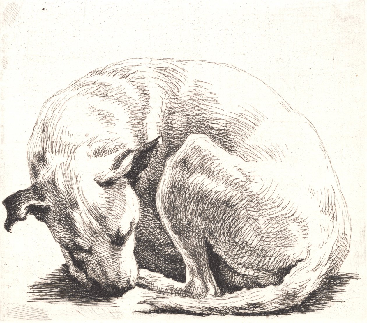 Örnek plaka: Bir köpek by Frans Schwartz