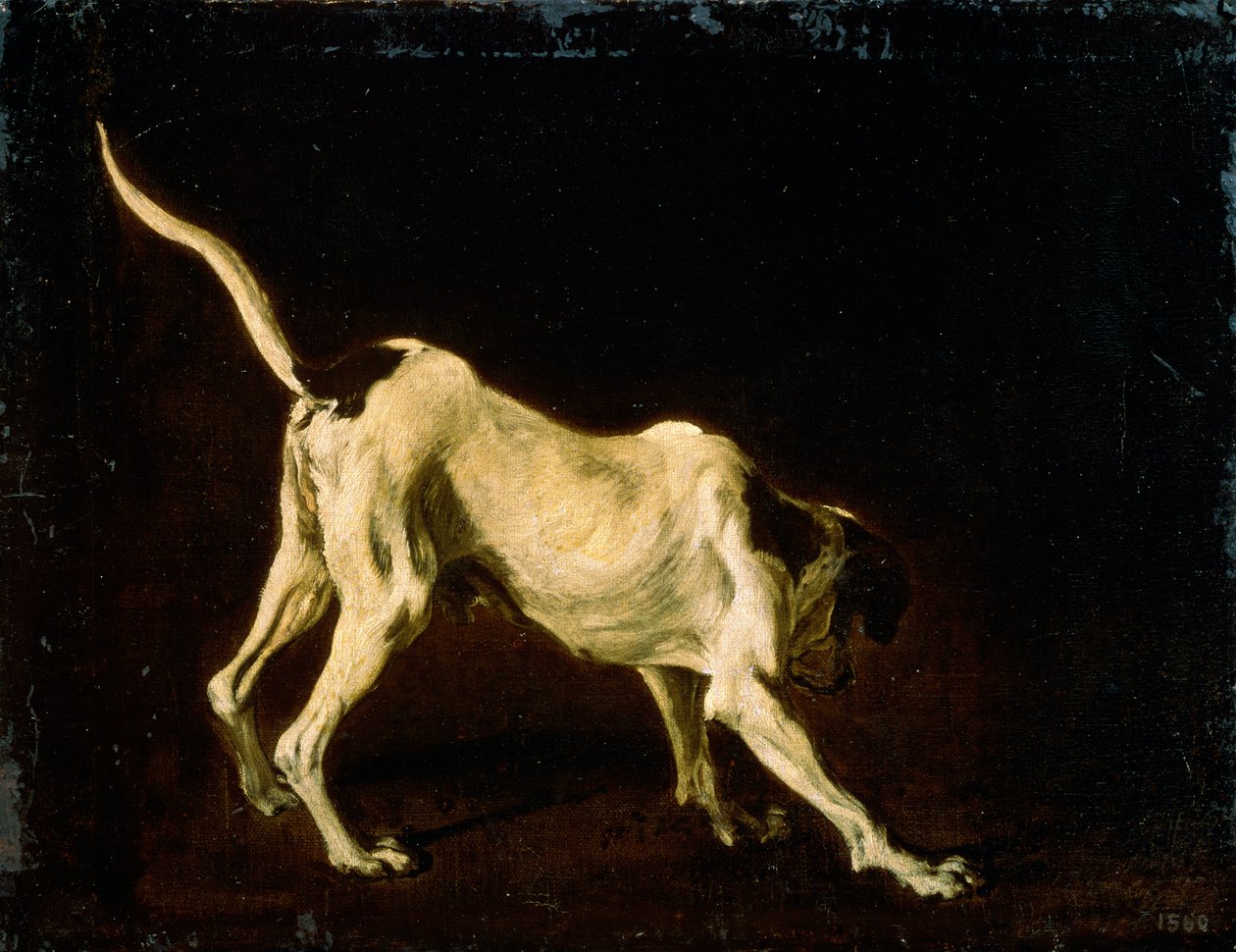 Bir Köpek, 17. yüzyıl by Frans Snyders or Snijders