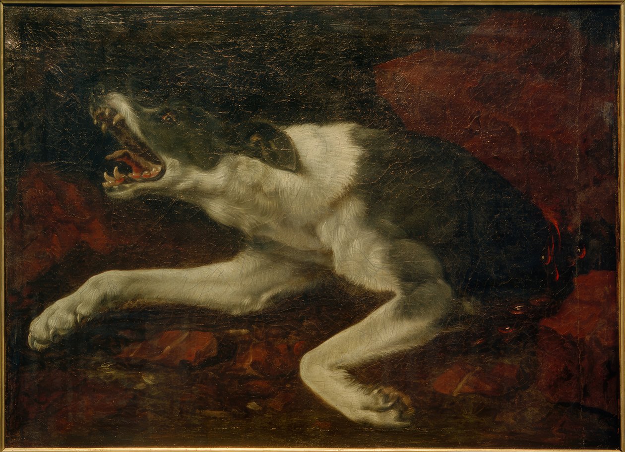 yaralı köpek by Frans Snyders or Snijders