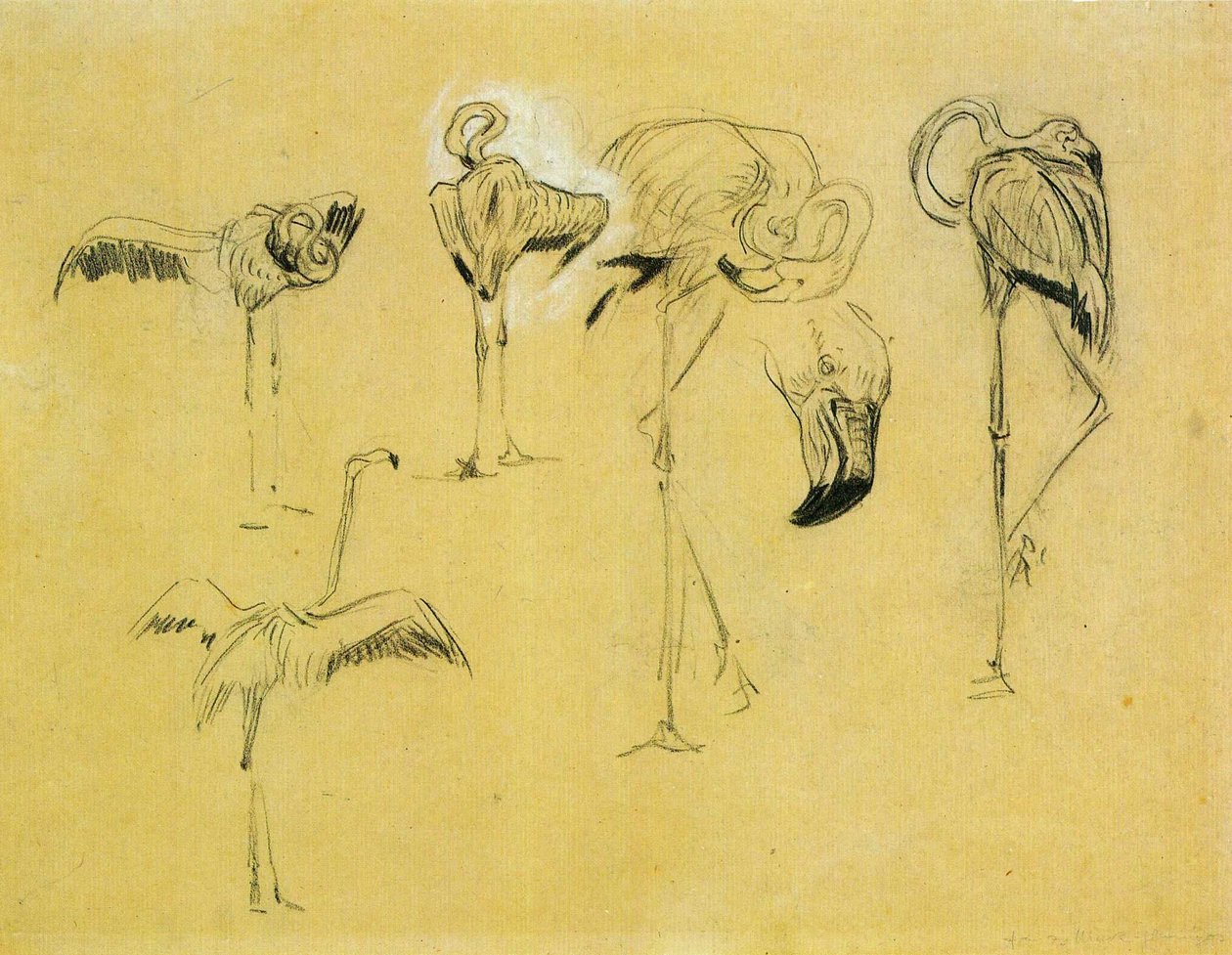 flamingolar by Franz Marc