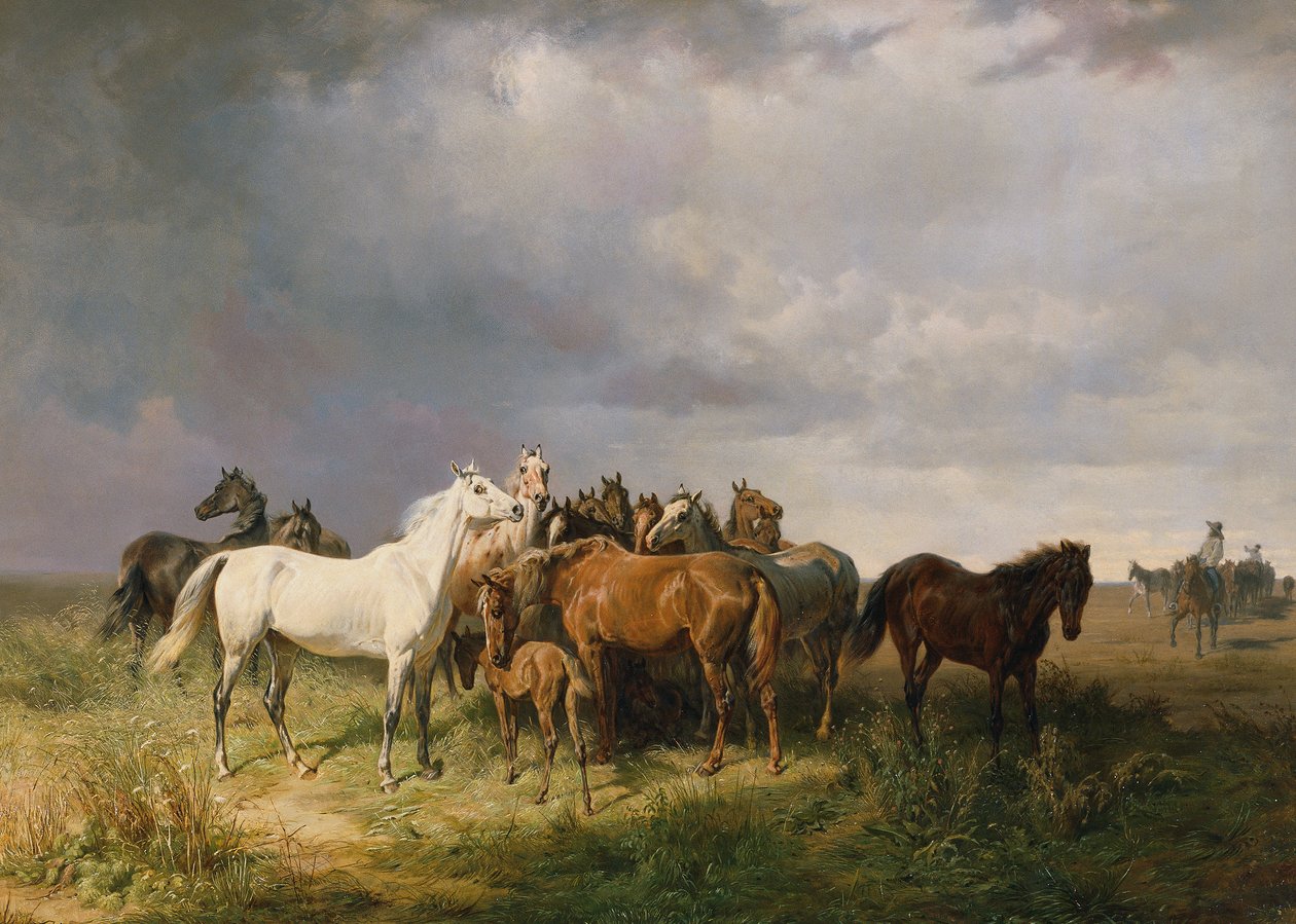 Puszta
