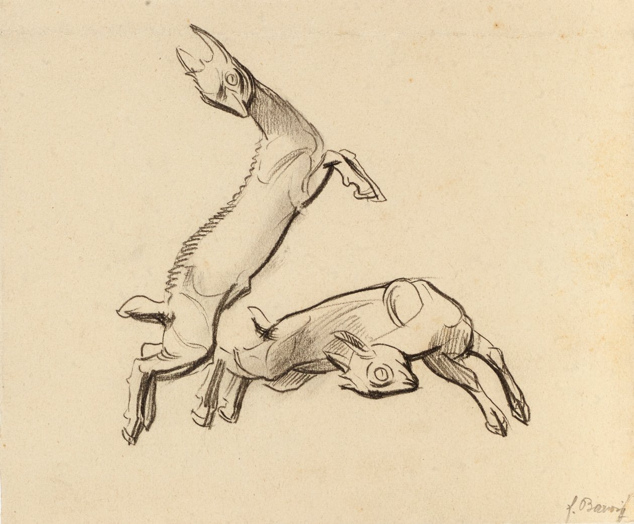 Zıplayan Zicklein by Franz Barwig d. Ä.