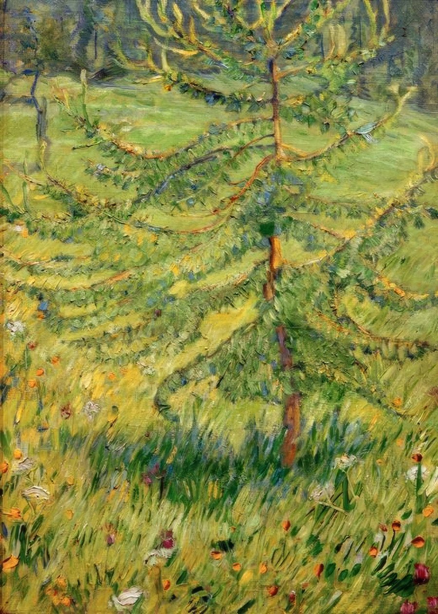 Bir orman çayırında genç karaçam by Franz Marc