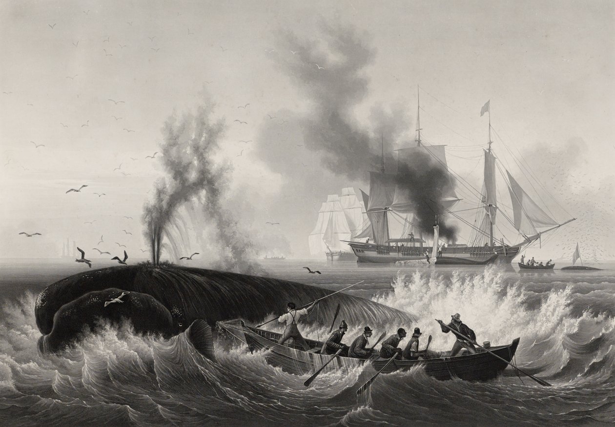 Pêche de la Baleine, 1834-35 (kağıt üzerine gravür ile aquatint ve gravür) by Frederic Martens