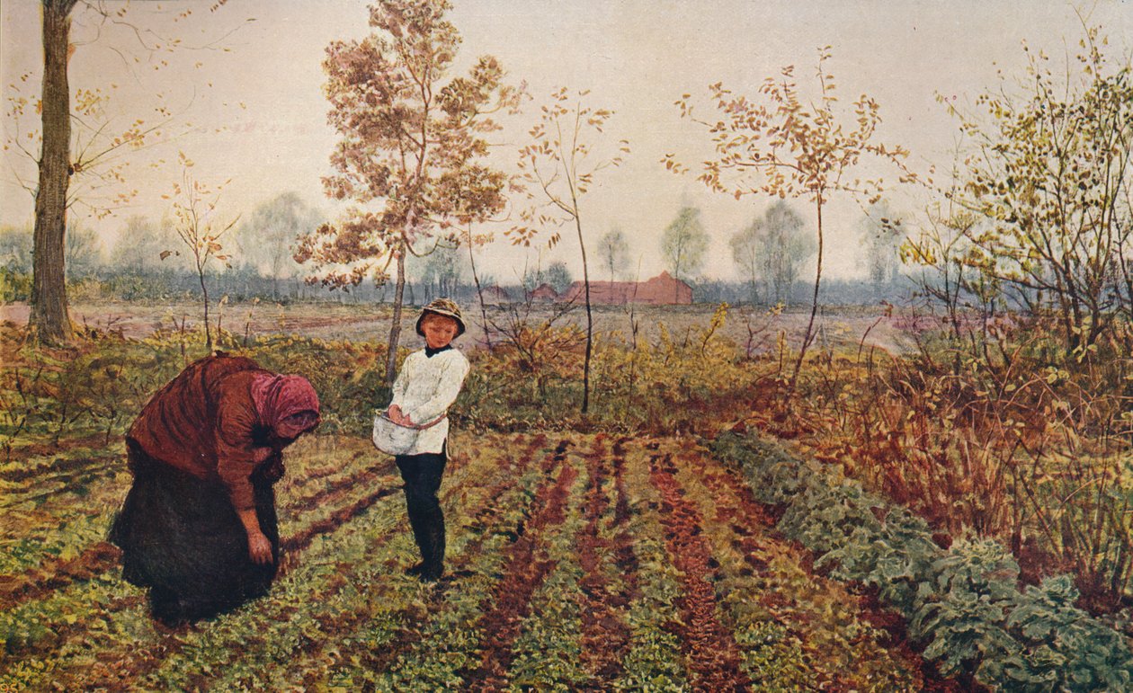 Menekşe Tarlası, 1867, c1915 by Fred Walker