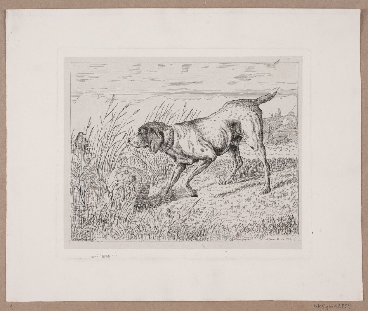 av köpeği by Frede Aamodt