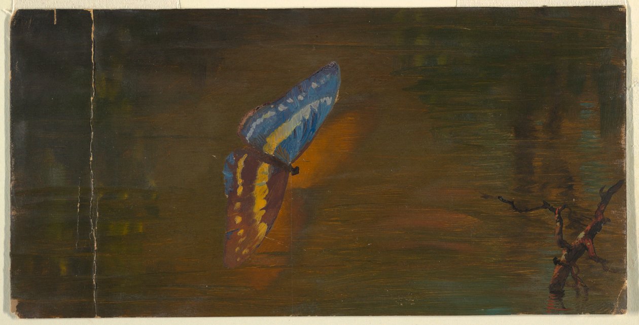 Su Üzerinde Kelebek by Frederic Edwin Church