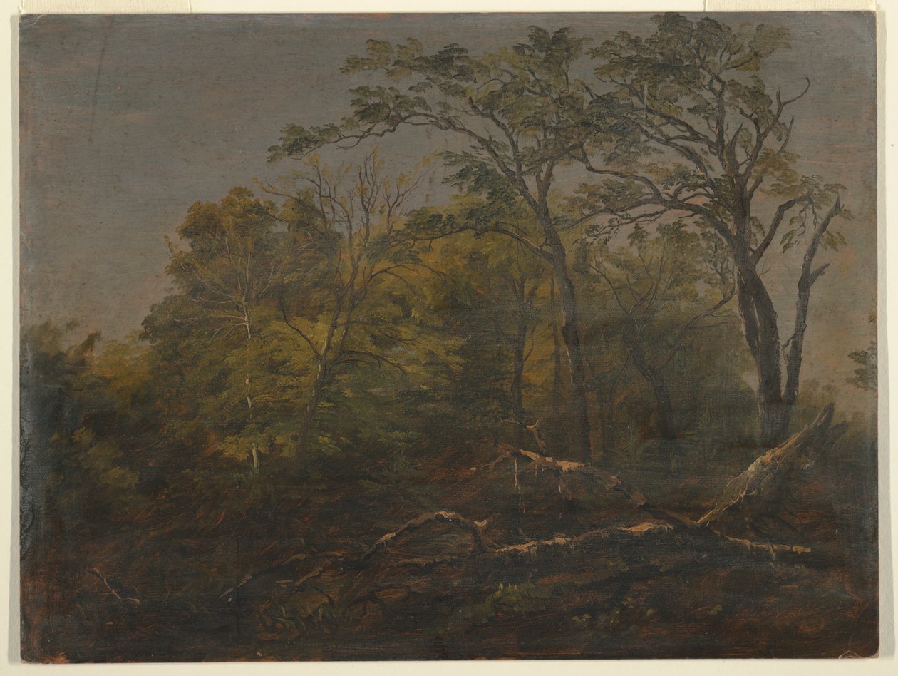  by Frederic Edwin Church