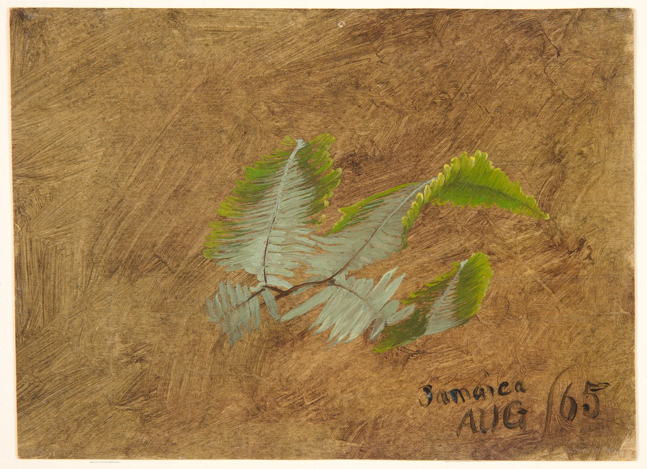 Fern, Jamaika'da Çalışma by Frederic Edwin Church