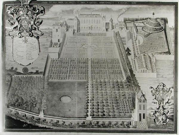 Kings Şifalı Bitki Bahçesi, 1636 by Frederic Scalberge