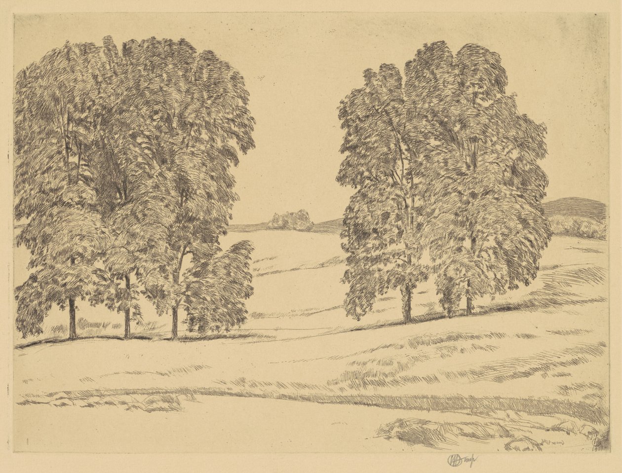 Bir Hayfield