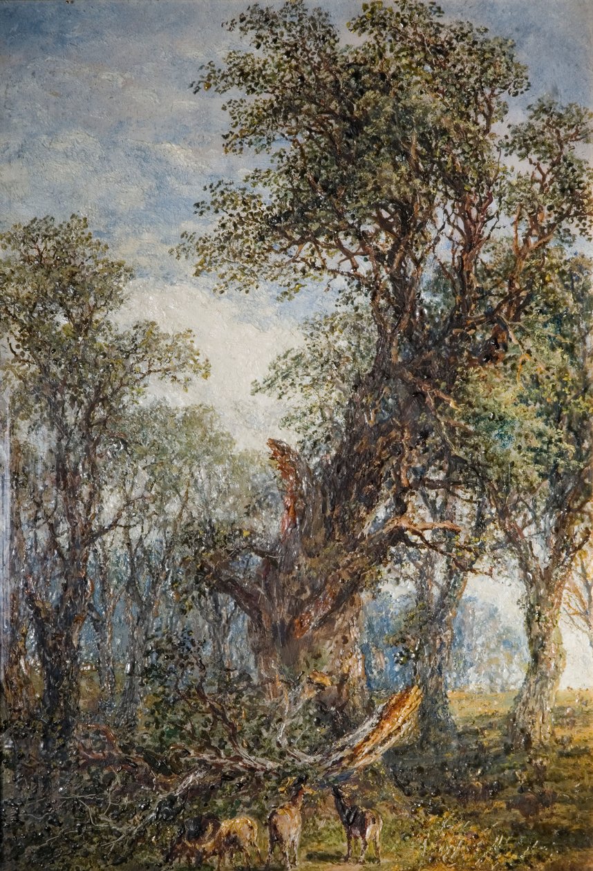 Kırık Dal, 1881. by Frederick Henry Henshaw