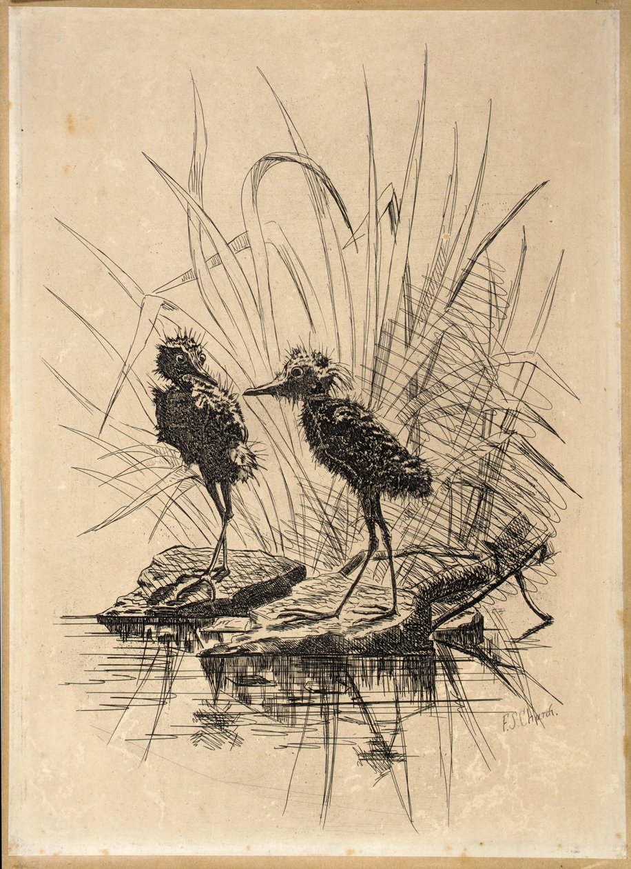  by Frederick Stuart Church