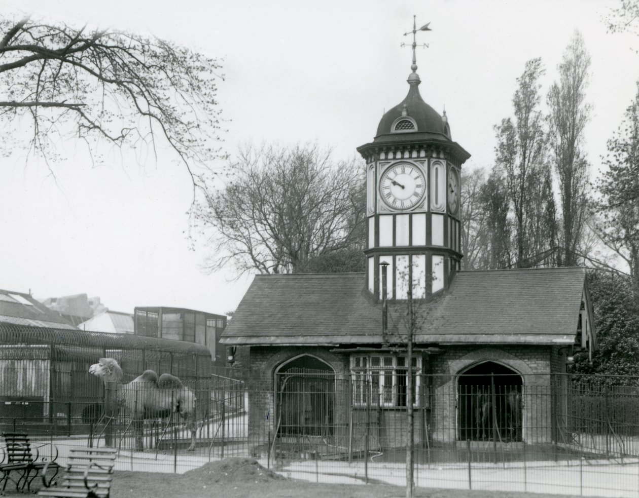 Deve Evi. Londra Hayvanat Bahçesi by Frederick William Bond