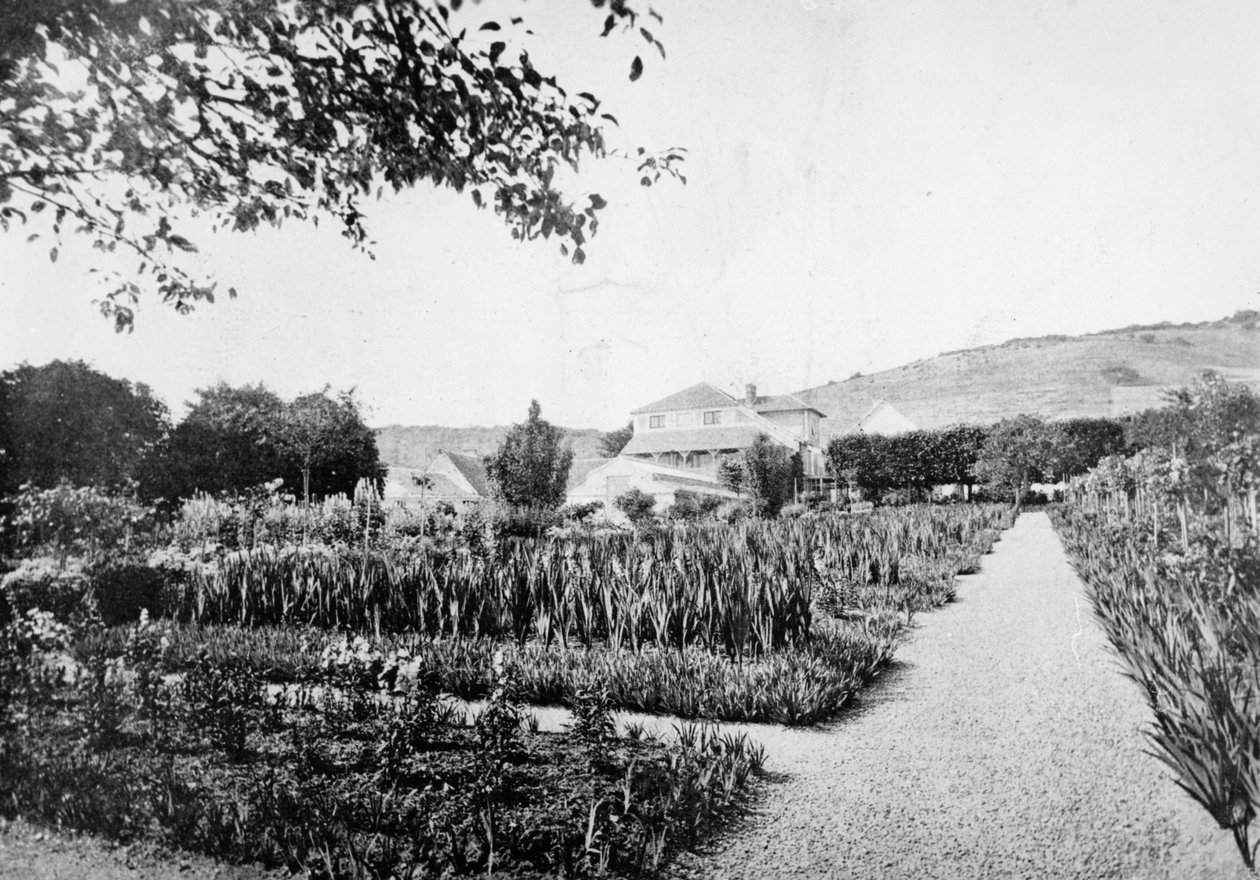 Monets Bahçesi, Giverny, c.1908 by French Photographer