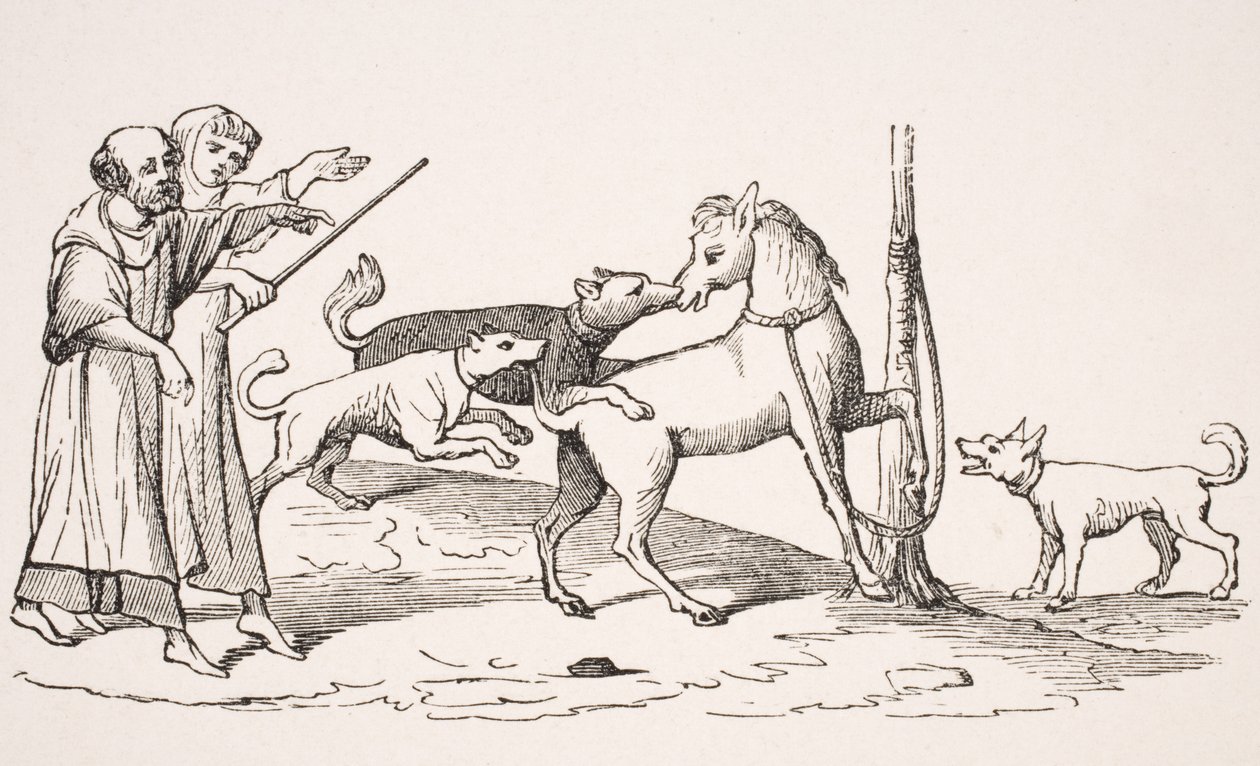 At ve köpekler arasındaki kavga, 13. yüzyıldan kalma bir el yazmasında minyatürün yeniden üretimi, 1847